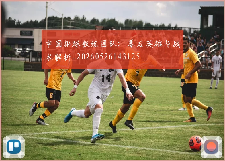 中国排球教练团队:幕后英雄与战术解析_20260526143125
